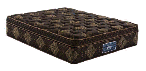 トラディション　ロイヤル　全体